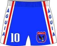 /album/galeria-de-fotos-pagina-inicial/short-aguia-jpg/